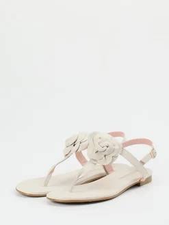 – Zehentrenner aus Lammleder Cremeweiß-Pretty Ballerinas Online